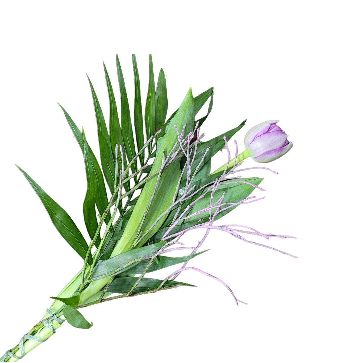 Tulpen_mit_Gruen_Weiss_Fruehling