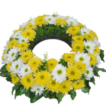Urnenfusskranz_-_Nur_Chrysanthemen_-Gelb_Weiss_