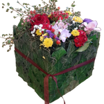 Wuerfel_-_Freesien_Rosen_Hypericum_Bartnelke_..._-_Bunt